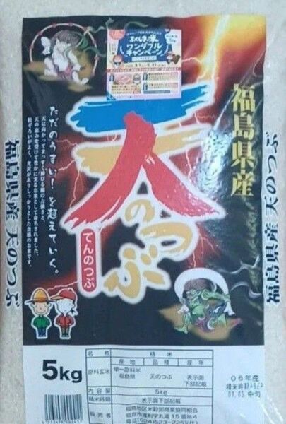 天のつぶ 10kg 5k×2袋 白米 精米日令和7年5月中旬 福島県 令和6年産 全国送料無料