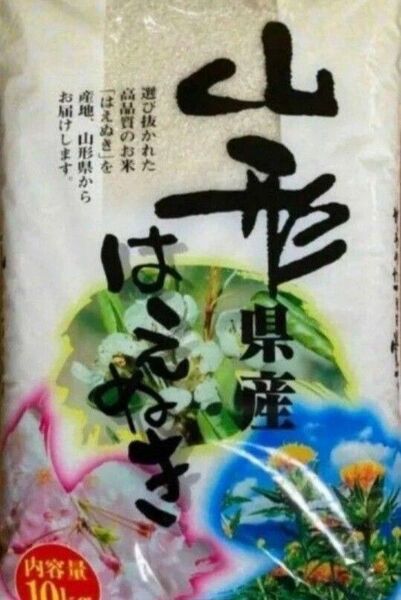 特A はえぬき 10kg 白米 山形県 令和6年産 令和7年5月中旬 全国送料無料