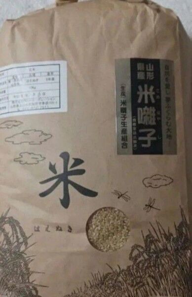 はえぬき 特A 10kg 玄米 山形県 令和6年産 全国送料無料