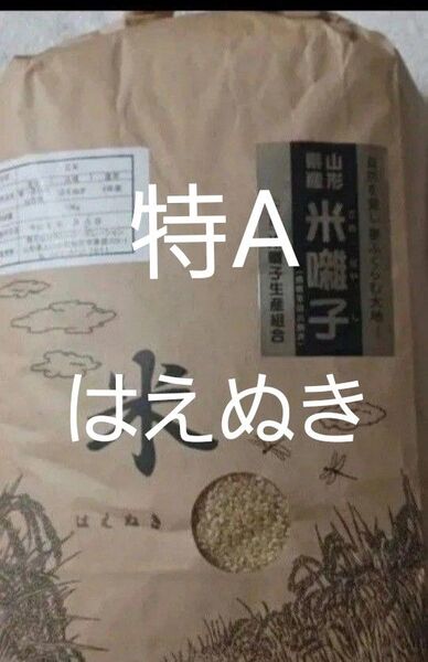 はえぬき 特A 玄米 10kg 山形県産 令和6年産 冷蔵保管 全国送料無料
