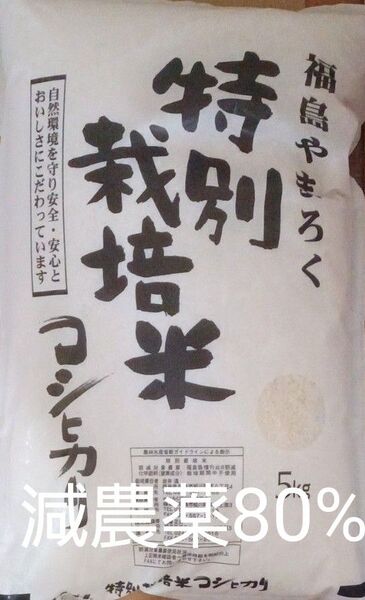 福島県産 コシヒカリ 特別栽培米 農薬80%カット 白米 5kg 令和6年産