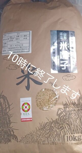 特A 雪若丸 10kg 玄米 山形県令和6年産 冷蔵保管 全国送料無