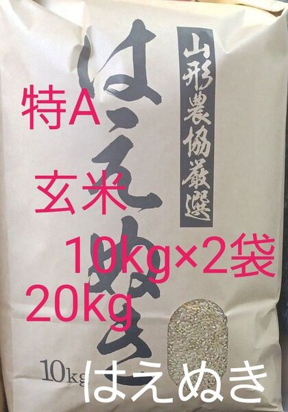 はえぬき 特A 20kg(10kg×2袋) 玄米 山形県産 令和6年産 冷蔵保管 全国送料無料
