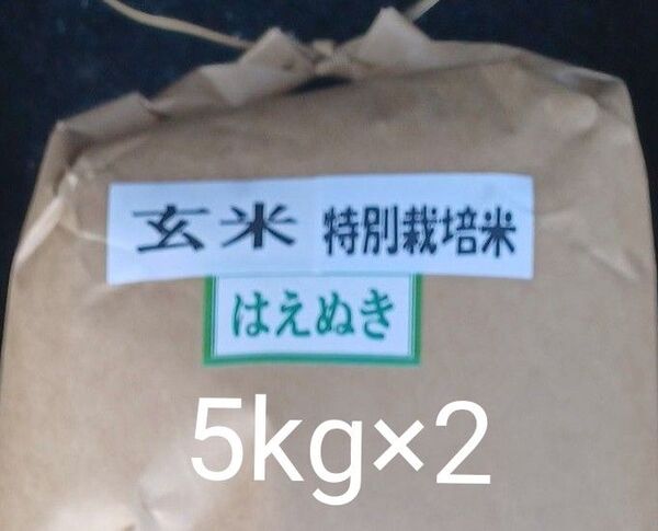 山形県産 特別栽培米 はえぬき 玄米 10kg 5kg×2 令和6年産 冷蔵保管 全国送料無料
