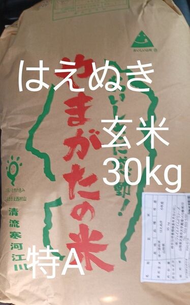 特A 山形県産 はえぬき 玄米 30kg 令和6年産 冷蔵保管 全国送料無料