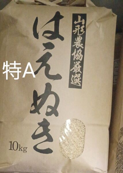 はえぬき 特A 10kg 玄米 山形県産 令和6年産 冷蔵保管 全国送料無料