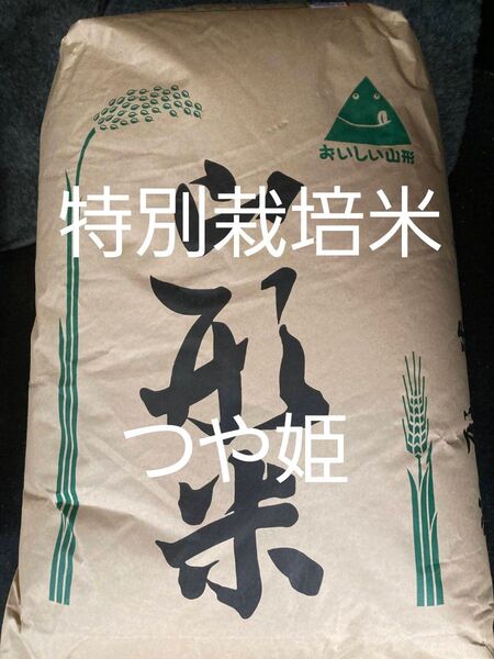 特A 特別栽培米 山形県産 つや姫 玄米 30kg 令和6年産