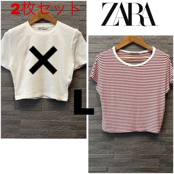 あやな様用 ザラ・ZARA ショート丈 半袖 Tシャツ サマーニット Lサイズ チビT ミニT クロップド丈トップス 赤×ホワイト