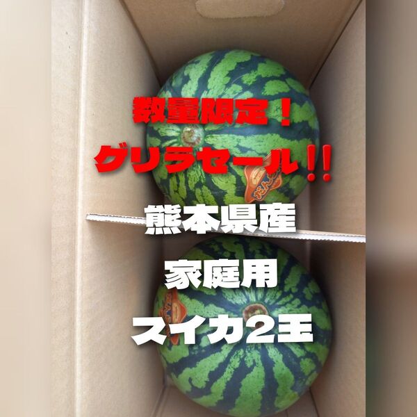 熊本県産植木スイカ 家庭用2玉入りサイズお任せ(1玉3kg以上)