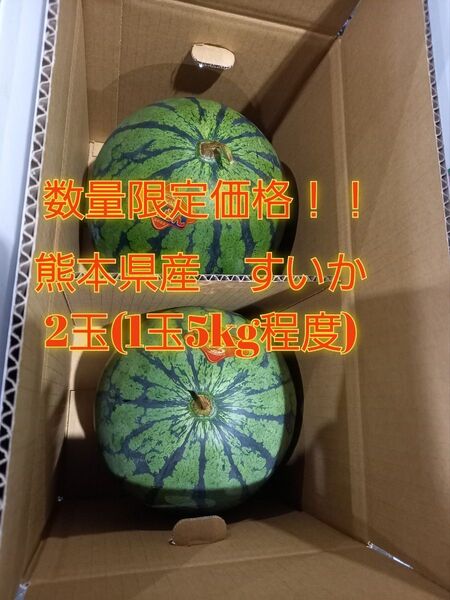熊本県産植木スイカ 家庭用2玉入り(1玉5kg以上)