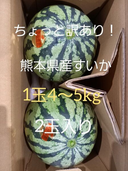 熊本県産植木スイカ 家庭用肥後漫遊2玉入り(1玉4kg以上)