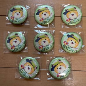 カラフルピーチ ジヴァ 8個 ラメキラ 缶バッジ カンバッジ からぴち ダイナー