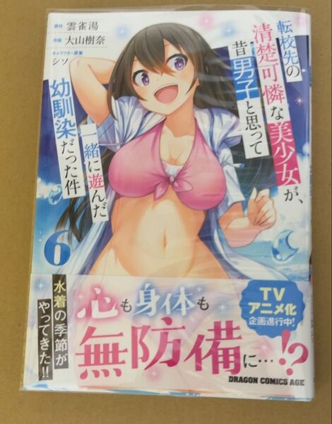 転校先の清楚可憐な美少女が、昔男子だと思って一緒に遊んだ幼馴染だった件(6)