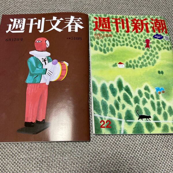 週刊新潮 週刊文春 2025年6月12日号 (文藝春秋)