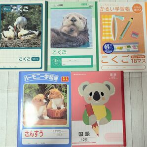 小学校 国語18マス 算数17マス 国語12行 ノート まとめて