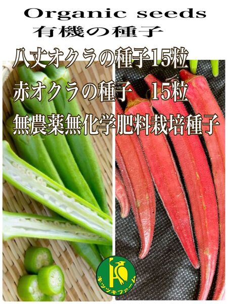 赤オクラの種子と八丈オクラの種子 各15粒 固定種・有機の種子セット