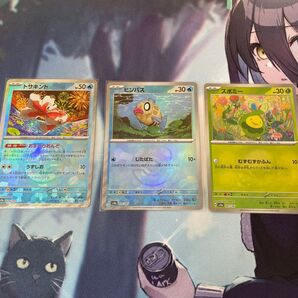 ポケモンカード マスターボールミラー トサキント ヒンバス スボミー まとめ テラスタルフェスex