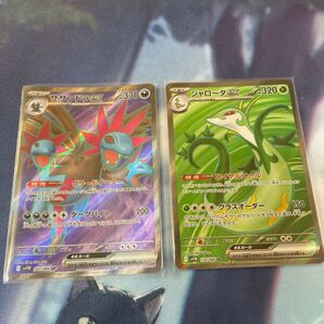 ポケモンカード SR ジャローダ サザンドラ
