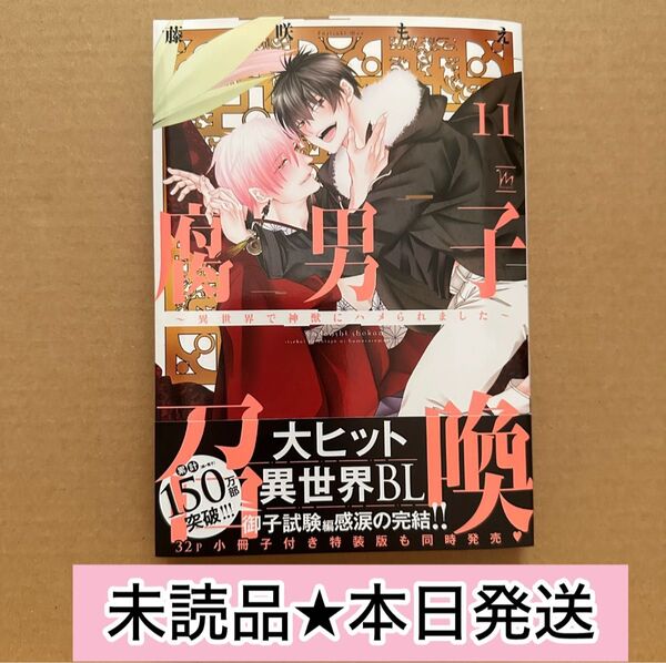 ★新品未読品★腐男子召喚 異世界で神獣にハメられました 11(通常版)藤咲もえ 【本日発送】