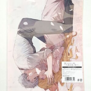 家から逃げ出したい私が、うっかり憧れの大魔法使い様を買ってしまったら クリアファイル 2枚セット 未開封