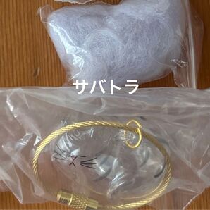 うちの子のけだまだま サバトラ ガチャ ガチャガチャ ガシャポン ペットの毛の入れ物