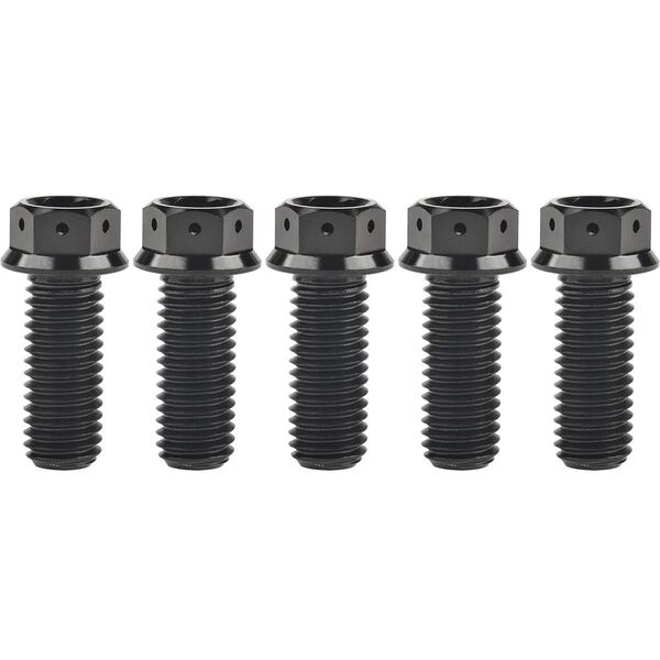 Ruifu チタン合金フランジヘッド 六角穴付ボルト M10×25mm ピッチ1.25 黒 5本セット