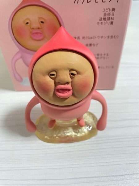 こびとづかん カクレモモジリ 陶器 フィギュア