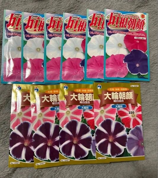 お花の種 朝顔