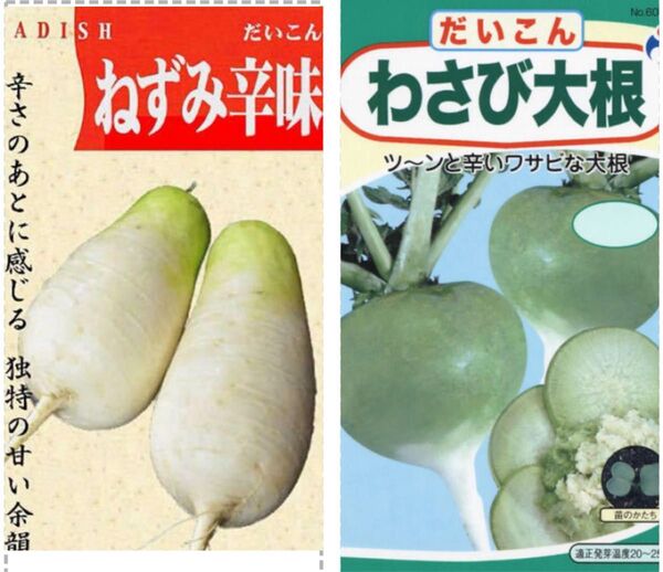 野菜の種 ねずみ大根 わさび大根