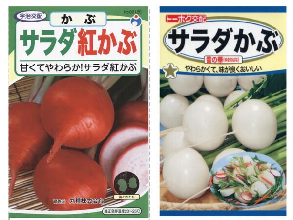 野菜の種 サラダかぶ 紅かぶ 雪の華