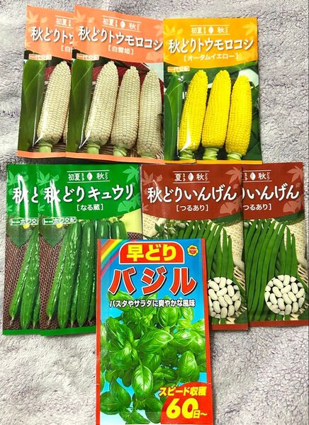 野菜の種 夏野菜 秋どりセット