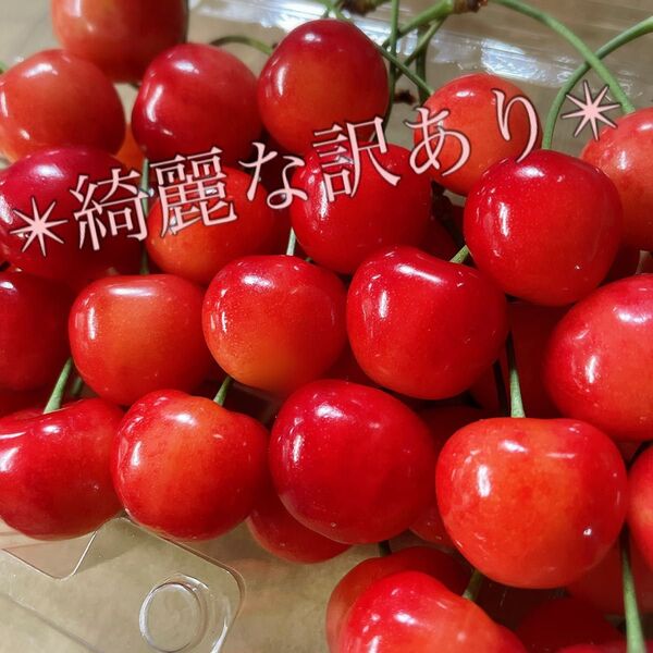 佐藤錦 さくらんぼ 長野県産 700g〜