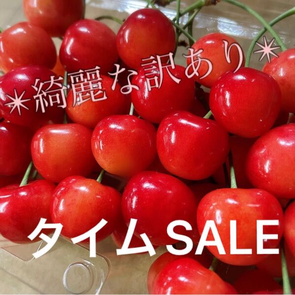 TIME SALE!!佐藤錦 さくらんぼ 長野県産 700g〜1キロ