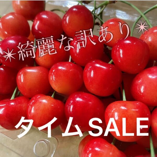 TIME SALE!!佐藤錦 さくらんぼ 長野県産 700g〜