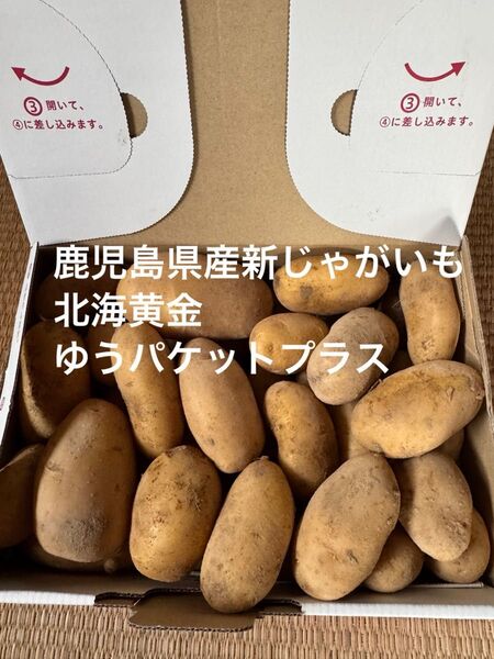 鹿児島県産新じゃがいも 北海黄金 1.2キロ