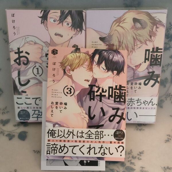 噛み砕いて愛をおしえて 1巻2巻3巻 ぽけろう