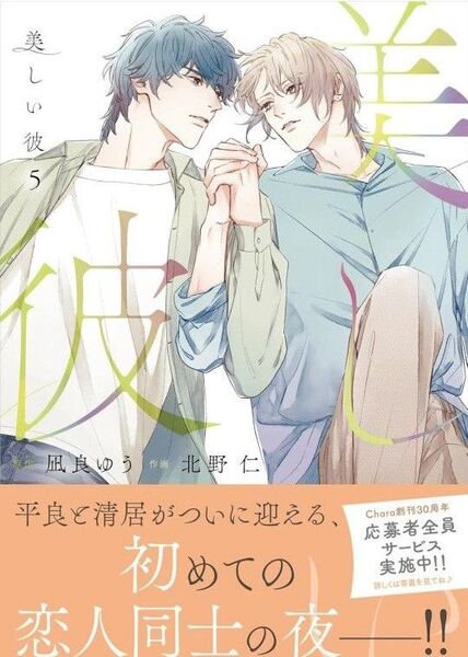 美しい彼 5巻 原作:凪良ゆう 作画:北野仁