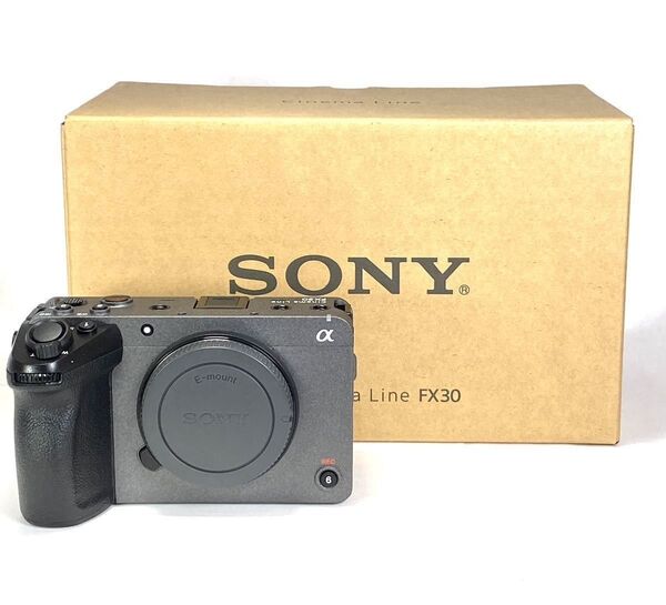SONY ILME-FX30B