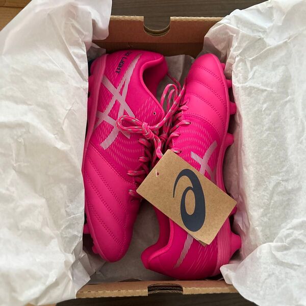 ASICS DS LIGHT JR GS スタンダード サッカー スパイク