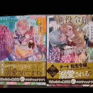 TL小説セット