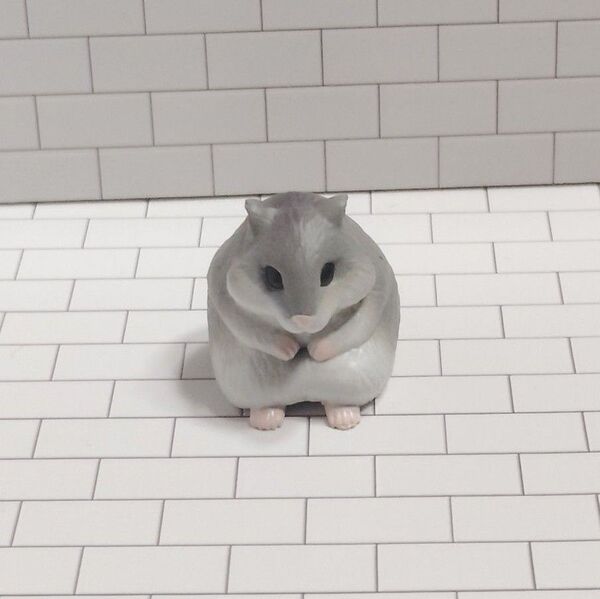 まちぼうけ ハムスター