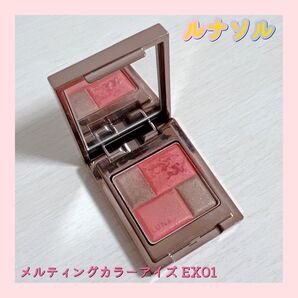 ルナソル LUNASOL メルティングカラー アイズ EX01