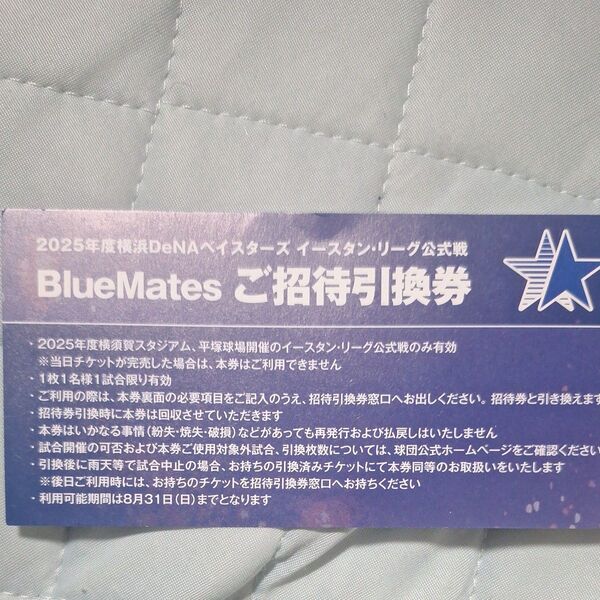 横浜DeNAベイスターズ イースタン・リーグ公式戦 BlueMates 横須賀スタジアム 平塚球場 ご招待引換券 チケット 1枚
