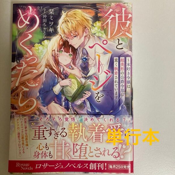『即購入不可』TL小説 彼とページをめくったら 本好き令嬢は超美形の公爵令息に重く執着されています