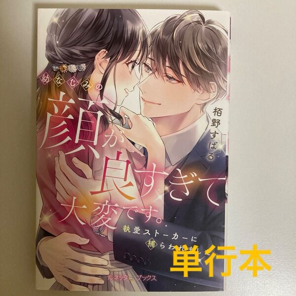 『即購入不可』TL小説 幼なじみの顔が良すぎて大変です。 執愛ストーカーに捕らわれました
