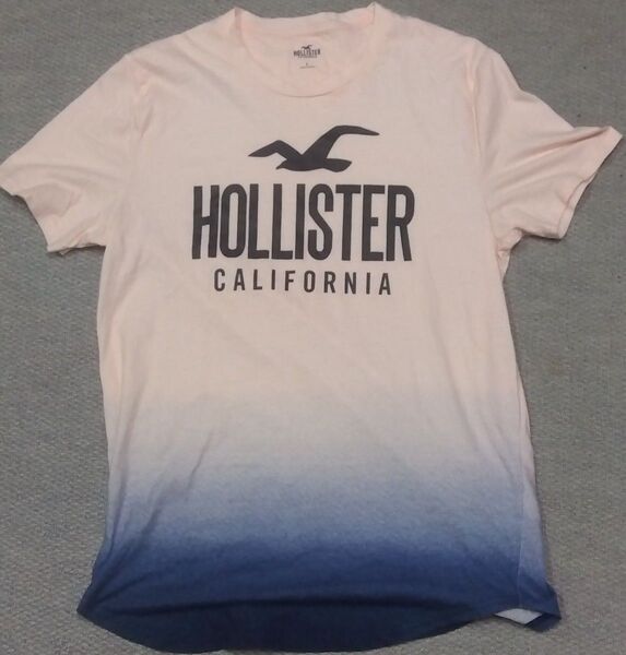 ホリスター HOLLISTER 半袖Tシャツ オフホワイト グラジエーション L