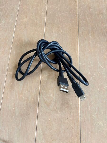 ニンテンドー 任天堂 充電USBケーブル 即日発送