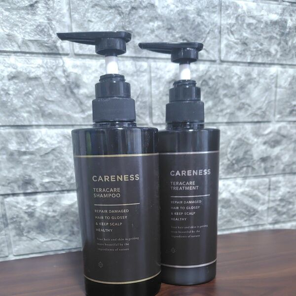 CARENESS テラケアシャンプー&トリートメント