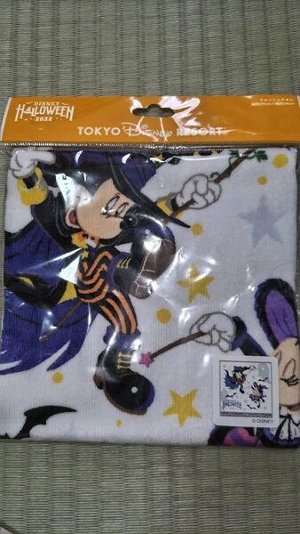 東京ディズニーリゾートミッキーの ウォッシュタオル ミッキー TDR ミニー