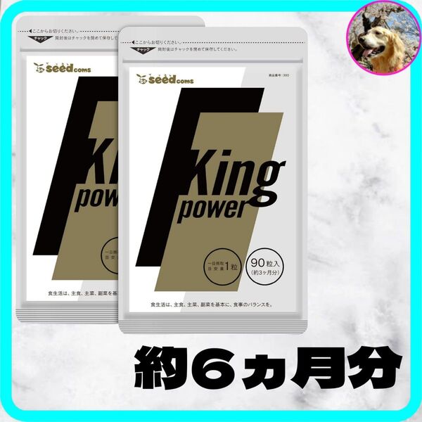 【賞味期限27年5月】20倍濃縮マカ 100倍濃縮トンカットアリ 180粒 180日分 約6ヶ月分 サプリ